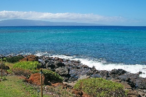 Polynesian Shores